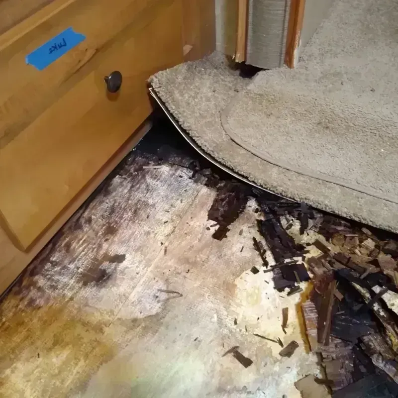 Wood Floor Water Damage in Cavalier, ND